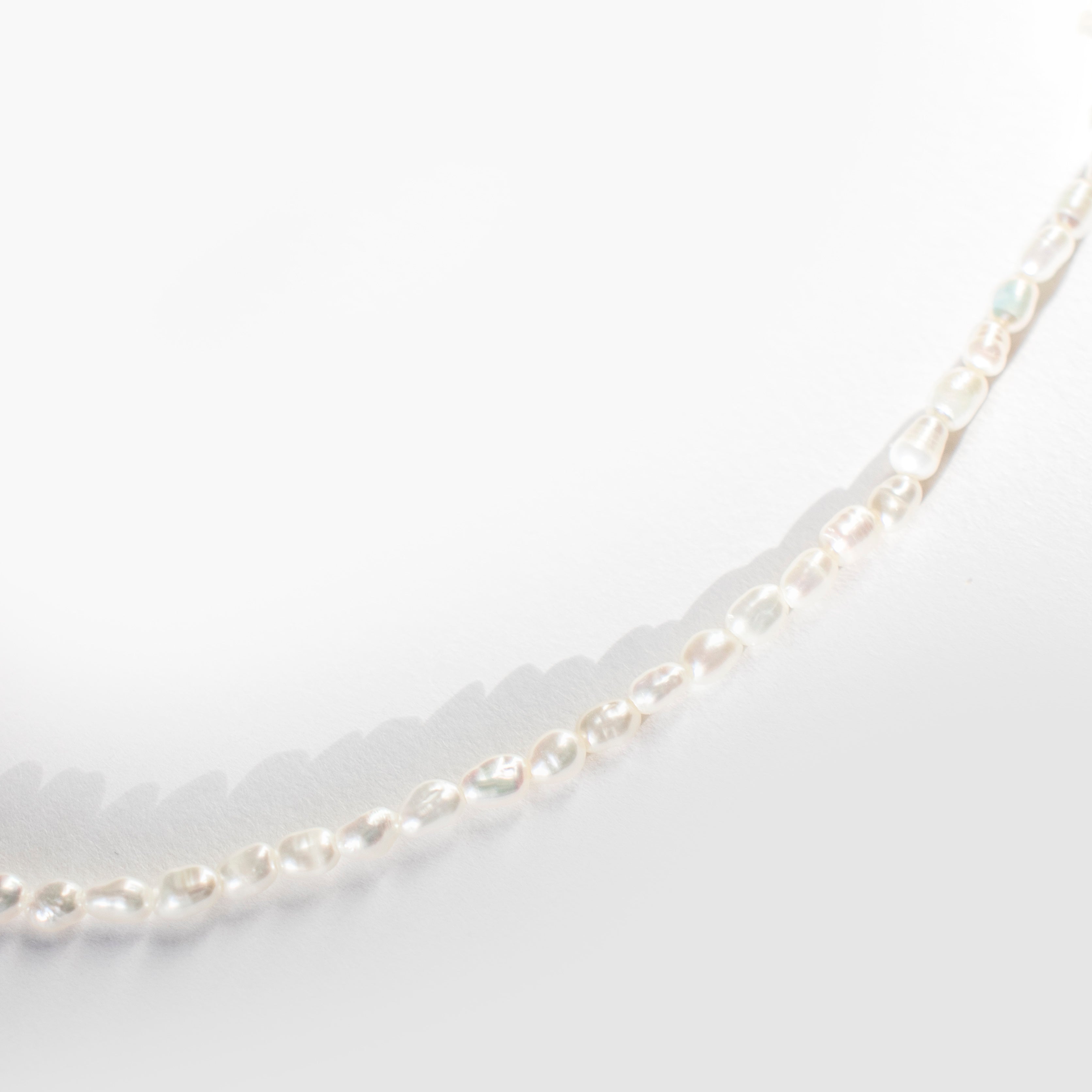 Micro Pearl | Necklace