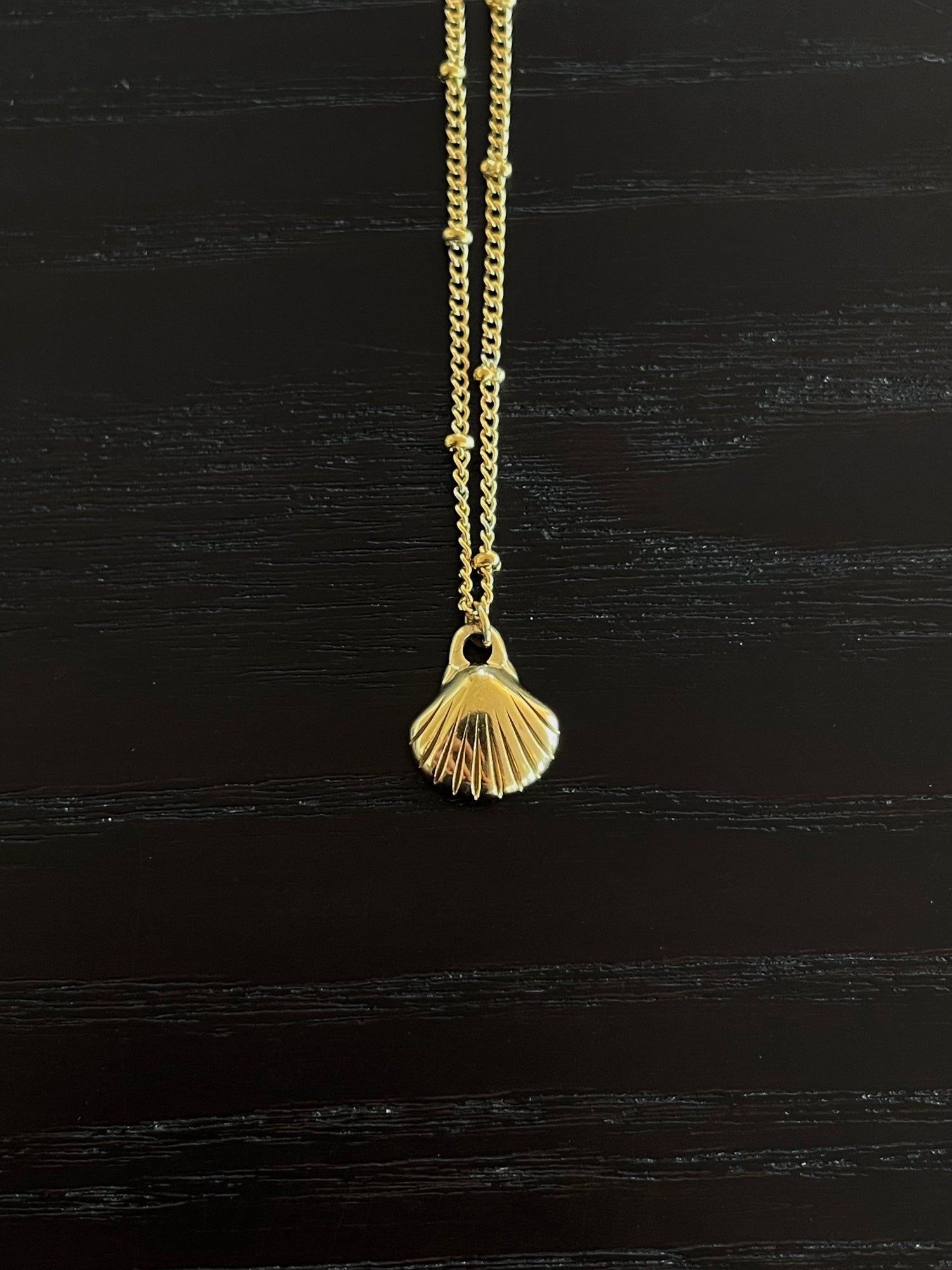 ONE-OFF Tiny Shell | NECKLACE