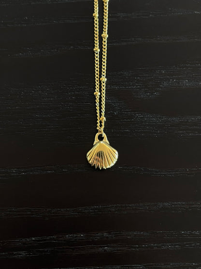 ONE-OFF Tiny Shell | NECKLACE
