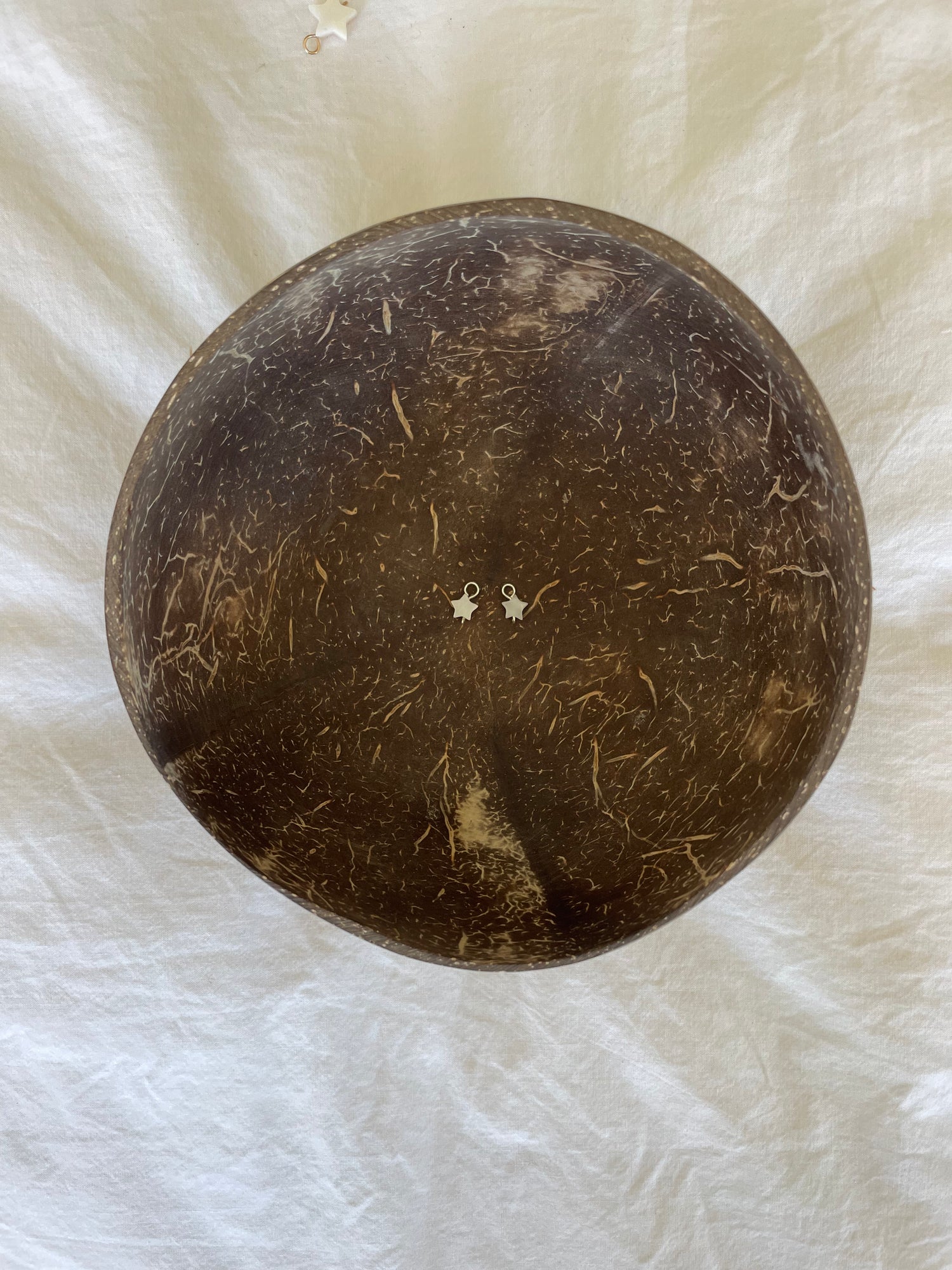 SHELL CHARMS | Stars ⭐️