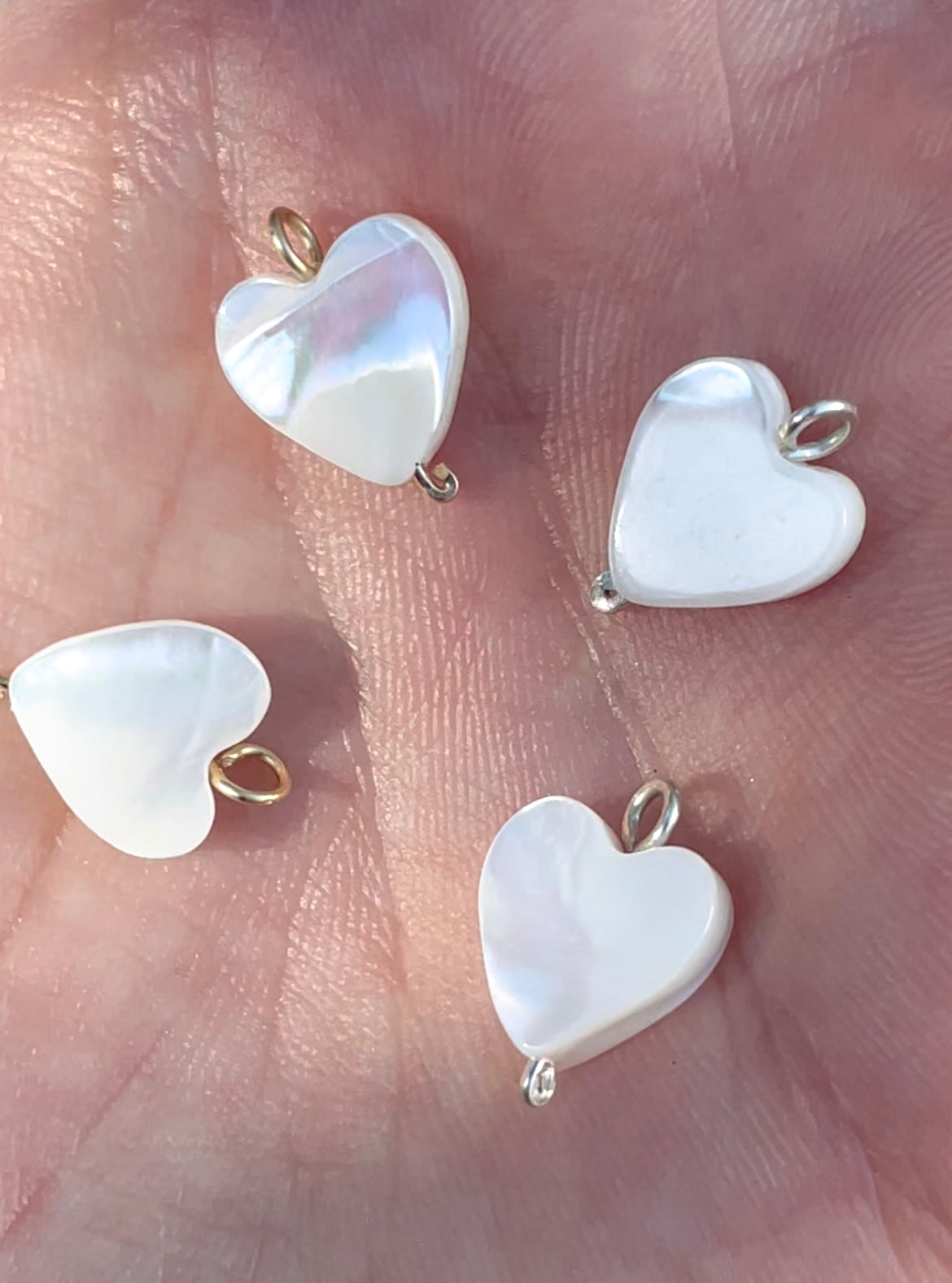 SHELL CHARMS | Shell Hearts 🤍